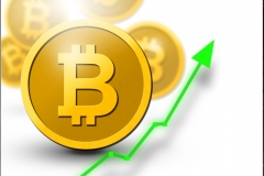 Bitcoin with rising arrow for increased values and profits for financial and business gain.  Physical golden bitcoin.  Learn how to invest on crypto exchange.