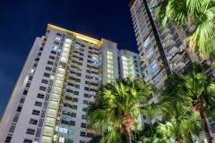 Tropical palm trees and apartment windows at night.  Highrise housing in large urban cities for rental and buyers housing mortgage concept.